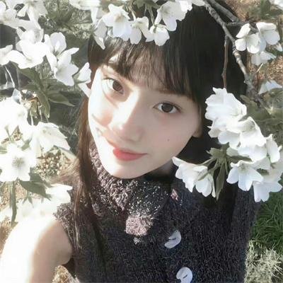 芙蓉映照千秋岁